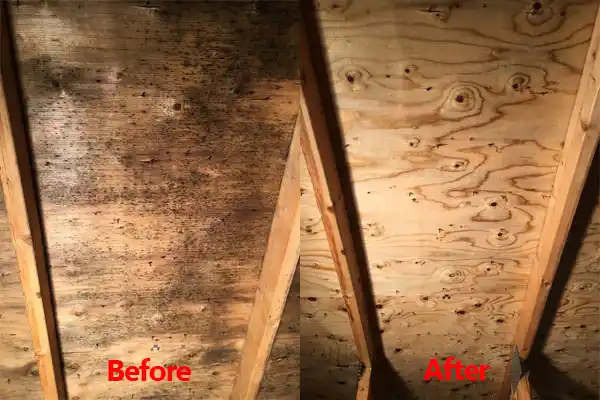 water damage restoration service Ship Bottom